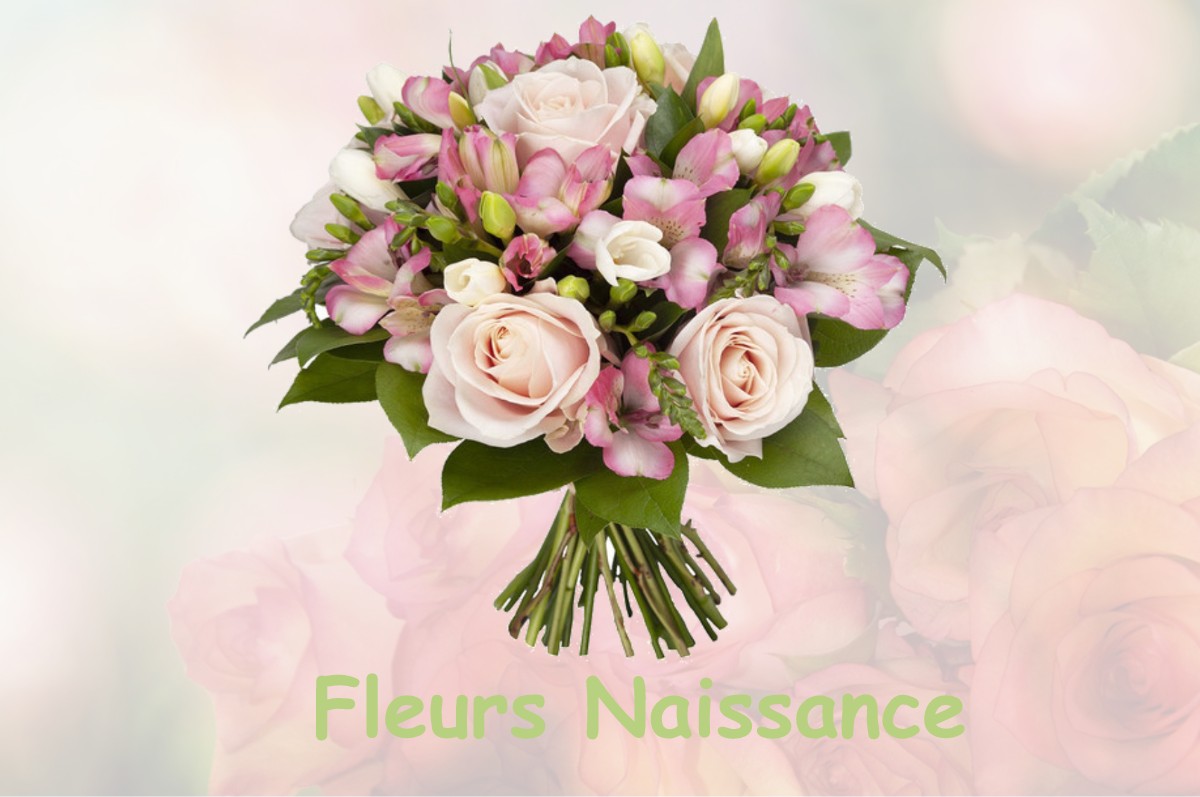fleurs naissance SAINT-LAURENT-DE-LA-BARRIERE
