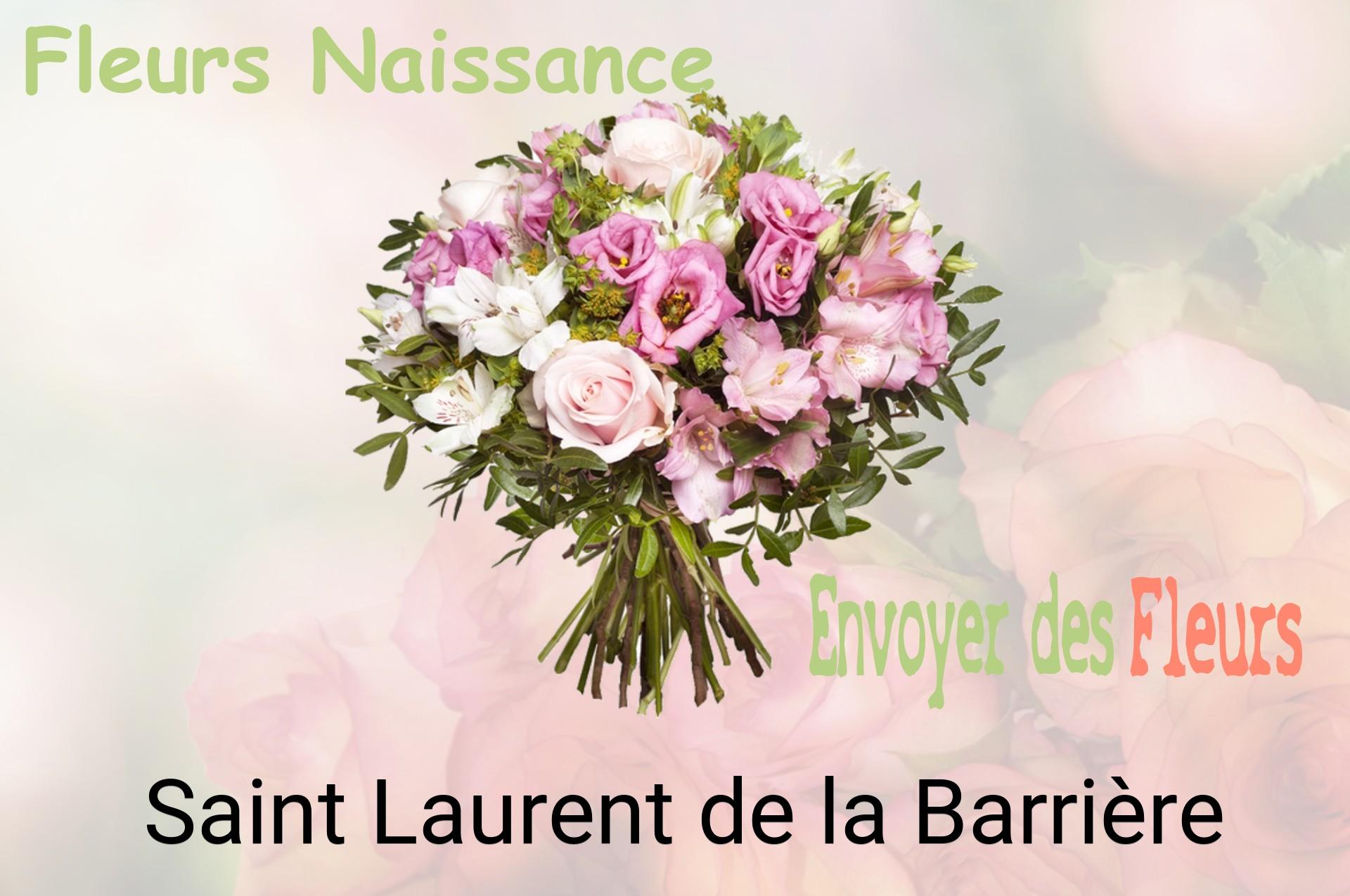 Bouquet de fleurs de naissance livré à Saint-Laurent-de-la-Barrière